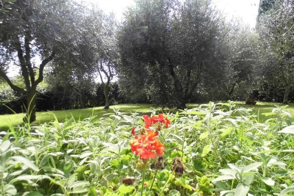 Campagna Toscana Presso Terme Apartment Lari Exterior photo